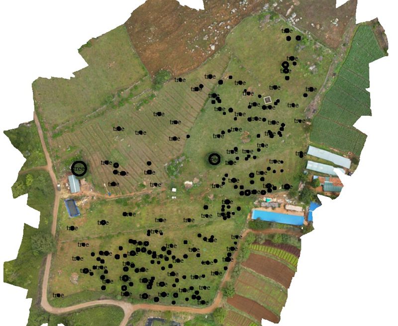 Classified point-cloud orthomosaic