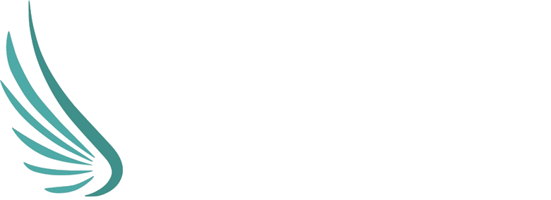 DAERO Drone Services