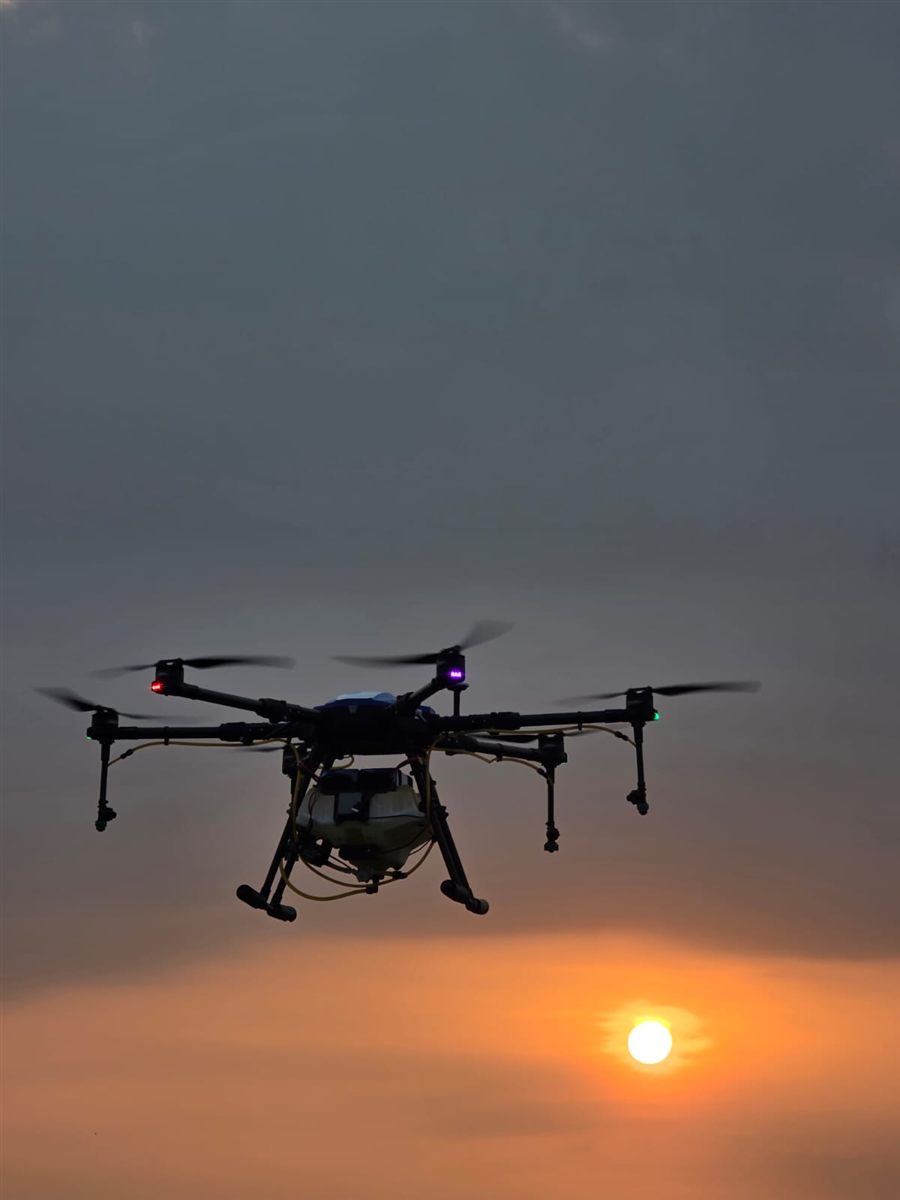 Spray drone at dusk over a field